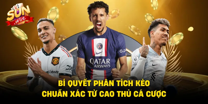 Bí quyết phân tích kèo chuẩn xác từ cao thủ cá cược