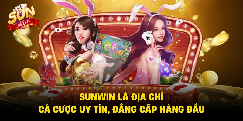 SUNWIN là địa chỉ cá cược uy tín, đẳng cấp hàng đầu